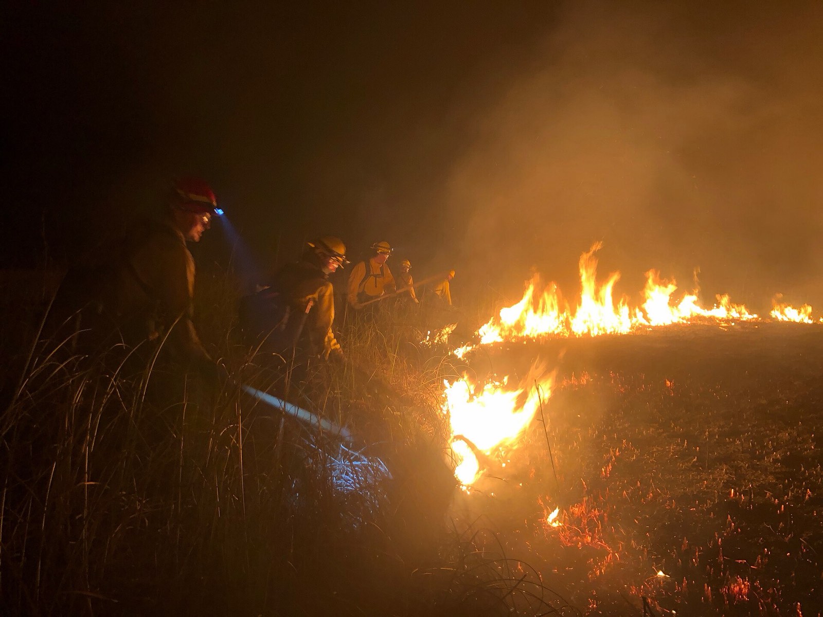 Firefighters working a fire line at night